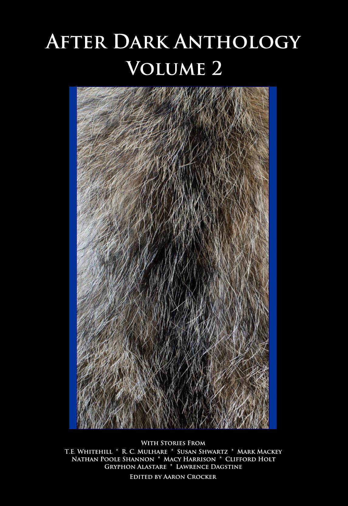 After Dark, Volume 2 - Image 1